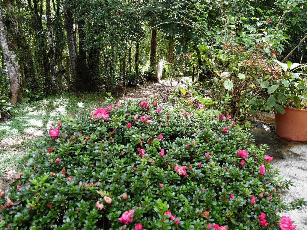 Aromas Da Serra II Campos do Jordao Exterior photo
